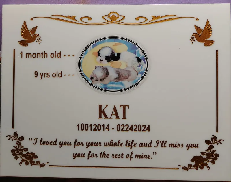 White marble pet memorial plaque with gold lettering, doves, floral corners and a photo insert